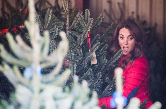 Kate Middleton carried out a royal engagement at Peterley Manor Farm in Buckinghamshire on Wednesday, where she helped schoolkids pick out Christmas trees. Image: Getty