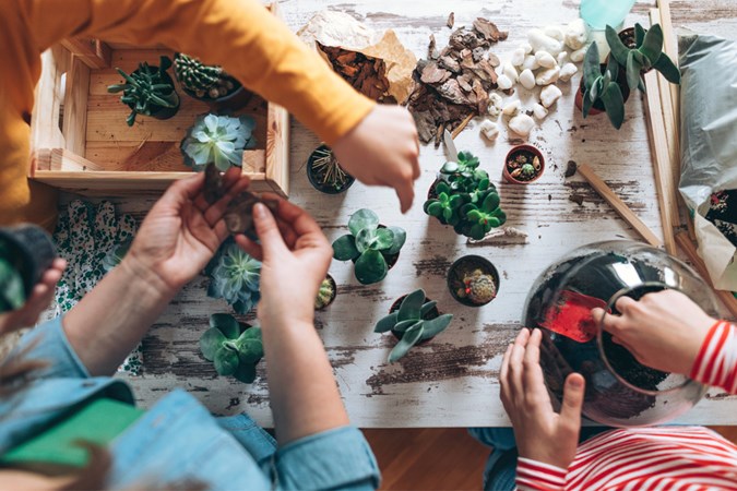 Always use caution and wash your hands before and after dealing with plants and soils (Image: Getty)