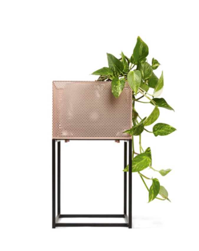 The blush plant stand (credit kmart)