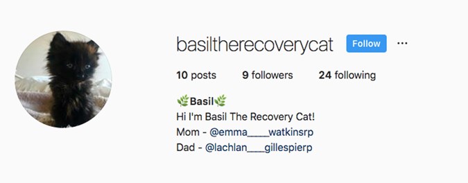 Basil's Instagram page with Emma and Lachy listed as 'Mom' and 'Dad'