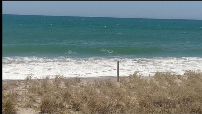 Matata beach, New Zealand